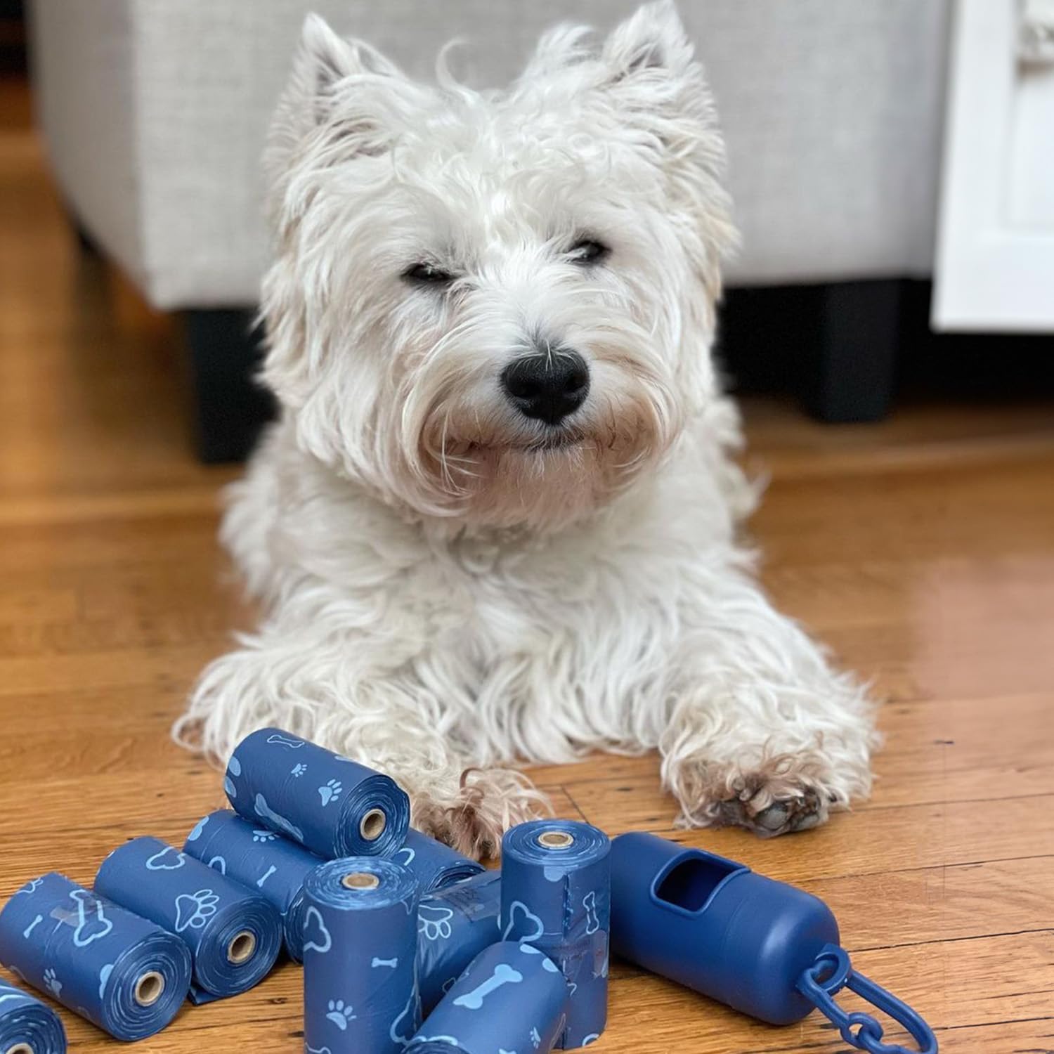 Best Pet Supplies Dog Poop Bags (150 Bags) for Waste Refuse Cleanup, Doggy Roll Replacements for Outdoor Puppy Walking and Travel, Leak Proof and Tear Resistant, Thick Plastic - Assorted Colors
