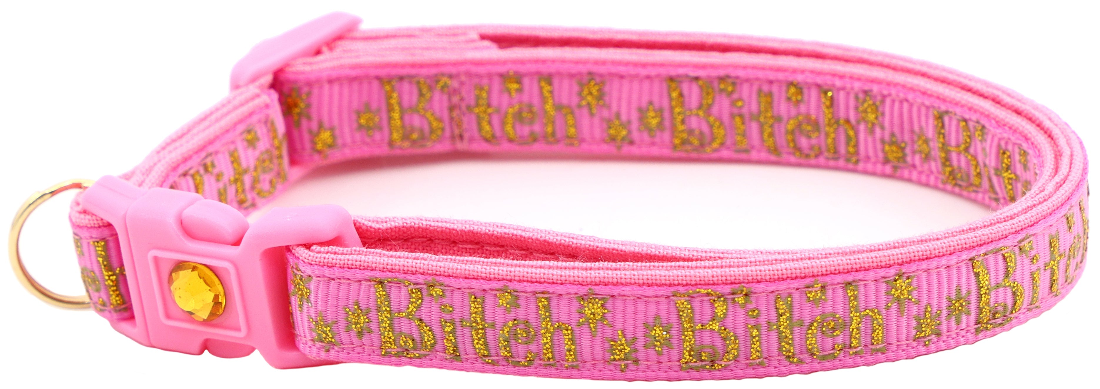 Gold Bitch Breakaway Cat Collar-23