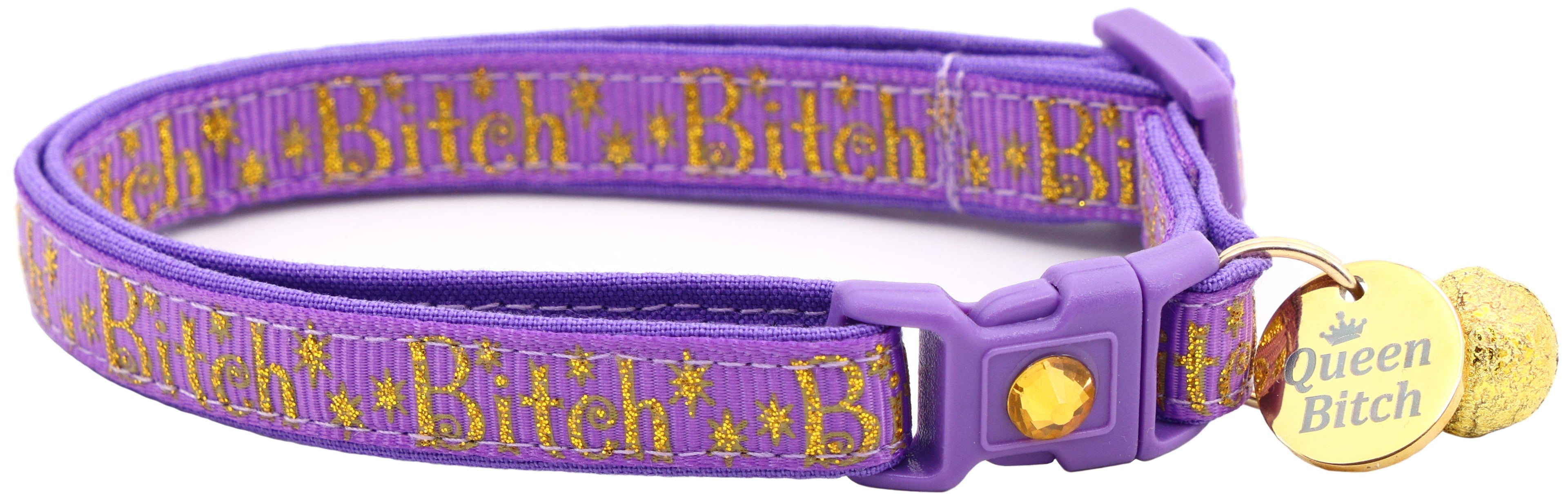 Gold Bitch Breakaway Cat Collar-4