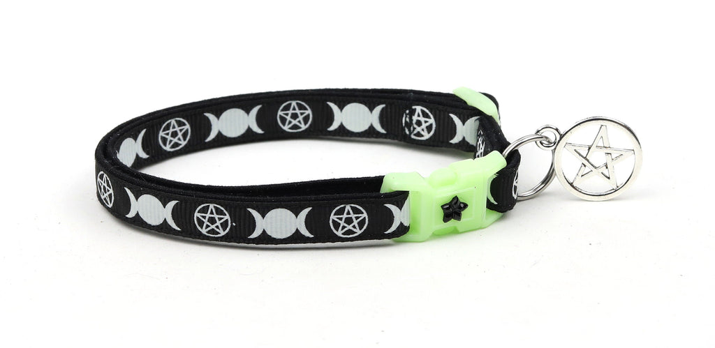 Witch's Familiar on Black Cat Collar-4